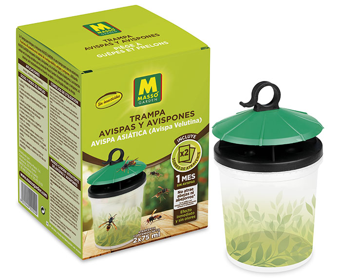 Para atrapar la avispa asiática sin utilizar insecticidas 